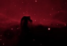 Ein Pferd in H-Alpha