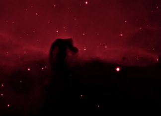 Ein Pferd in H-Alpha